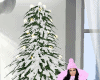 Snowy Tree