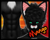 -DM- Black Cat Fur M