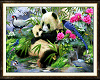 TF* 2 for 1 Panda Art