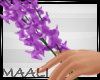 Hand lavanda Flowers