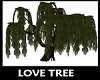 Love Tree 