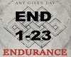 Any Given Day -Endurance