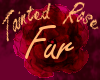 Tainted Rose Fur
