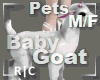 R|C Baby Goat Pink M/F