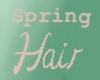 P~ Spring Hair