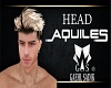 Head Aquiles