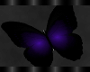 Gothic Dreamz Butterfly 