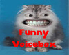Funny voice Box