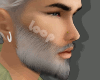 Gray Fading Beard