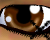 Brown Anime Eyes