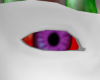 Lizard asteri eyes