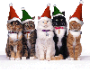 Holiday Cats Stickers