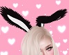 Bunny Ears 💋