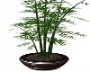 LWR}Luvi:Bamboo Plant