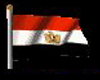 Anmi Egypt Flag 2