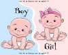 It will be a boy or girl