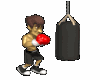 Boxer Bag Animated