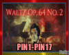 ♫ PIN1-PIN17 DARK