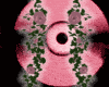 Pink rose vine