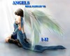 Angels F Fantasy VII *LD