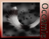 Conquest  Black Tail