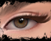 I. THE BROWN LASH