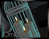 ✰| Touchie Candle Cage