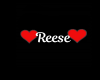 Reese Necklace/Hearts/M