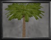 SS Palm Tree