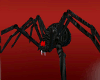 My Pet Spider