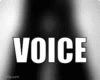 ✨ Voice & CIE [FX]