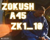 A45 ZOKUSH