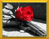 Gun and Rose