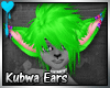 D~Kubwa Ears: Green(M/F)