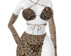 Dress Felina