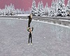 [S]Figure Skating Couple