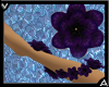 VA Purple Arm Flowers
