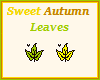 Sweet Autumn Leaves~2