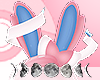 ☆ Syl Ears