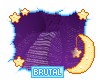 Purple Cardigan