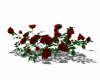 mata de rosas