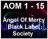 Angel Of Mercy-Black Lab