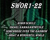 -V- Robin Schulz