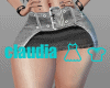 Jean Skirt RLL