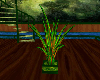 Forest Palm Plant