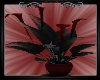 -A- Gothic Red Lily