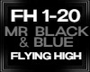 Mr Black Flying High