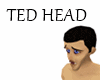 TED  HEAD