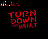 DJ SNAKE-Turn Down FW
