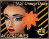 [AS] Orange Daisy L